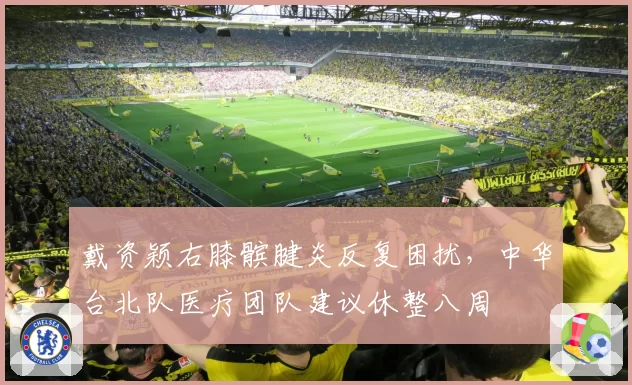 戴资颖右膝髌腱炎反复困扰，中华台北队医疗团队建议休整八周