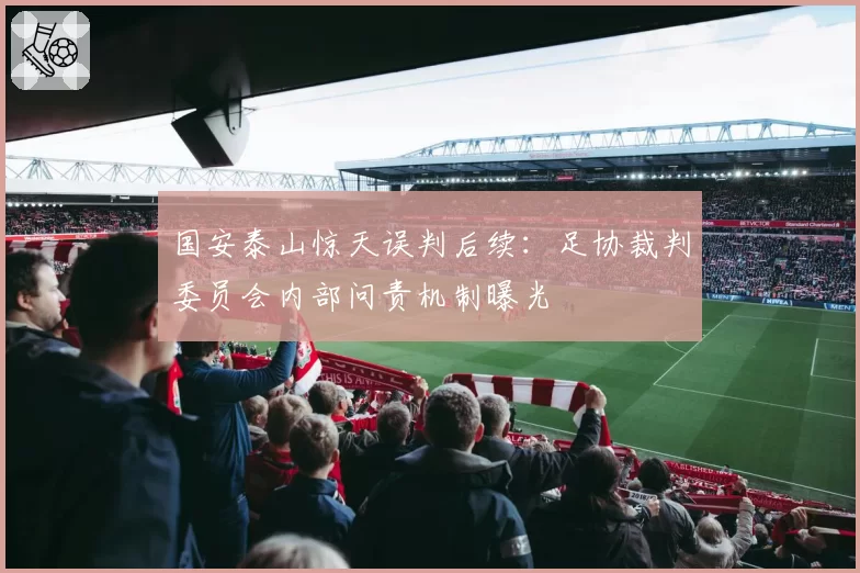国安泰山惊天误判后续：足协裁判委员会内部问责机制曝光